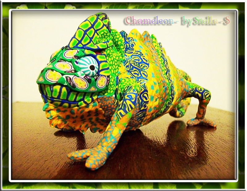 Chamaleon back to gallery